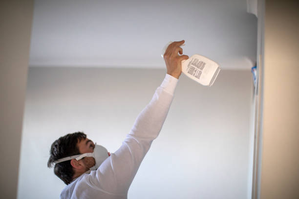 Best Mold Cleaning Services  in Timpson, TX