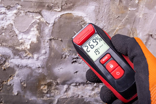 Best Mold Remediation  in Timpson, TX