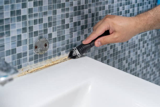 Best Office Mold Removal Services  in Timpson, TX